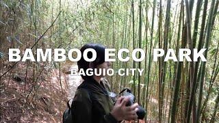 BAMBOO  ECO PARK  I  BAGUIO CITY  I  KYOTO JAPAN