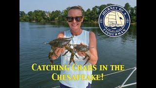 Catching Crabs in the Chesapeake