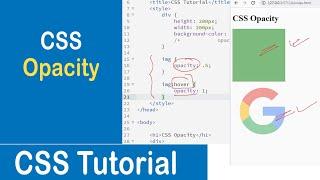 #33 CSS Opacity | Transparent Image | Transparent Hover Effect | CSS Tutorial