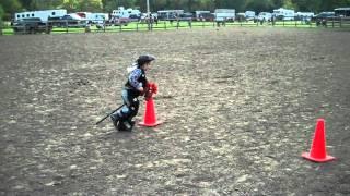 Stick Horse Competition - Viola Horse and Colt Show