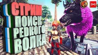 Стрим #3  ARK с модами Parados и Additional Creatures 2 Wild Ищем волка