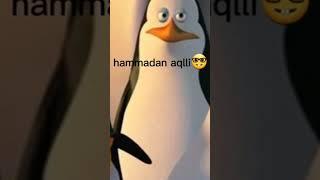 #multfilm #multiplayer #tomvajerry #pingvinharcos #diplomat #shuxdil #xazil #pricol pricol