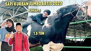 ATTA Kurban Sapi Jumbo 1.5 Ton? Deretan Sapi Kurban Terbesar Artis Idul Adha 2023