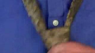 How To Tie A Tie: The Full Windsor