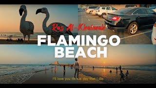 Flamingo Beach | Information | Tour | #rasalkhaimah | #sunset | #peaceful | #emirates