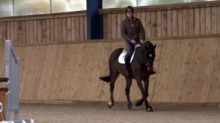 Masterclass 5 with Scott Brash