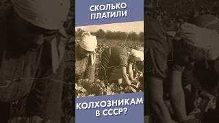 Сколько платили колхозникам в СССР? #shorts #ссср