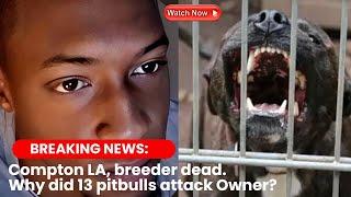 Why 13 Pitbulls fatally attacked their Owner! the unknown facts!