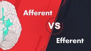 Afferent vs Efferent - Cranial Nerve Modalities