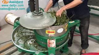 Tea rolling machine green tea black tea leaf roller machine tea leaves kneading machine DL-6CRT-35