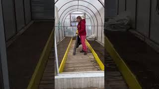 Живут как селедки в банке, но нк мои растюхи. У меня 2 гряды.     Вы за 2 или 3 гряды в теплице?