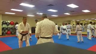 Fudokan "Makikwara" training in USA with Sensei Ilija and Vladimir Jorga
