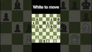 Can You Find The Checkmate