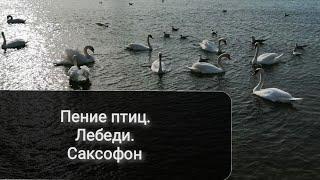 Прогулки по анапе 10 марта 2020 г. От ЖК Горгиппия до пляжа Высокий берег. Галечный пляж Анапа