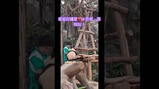 家姐與M奶爸的驚喜
