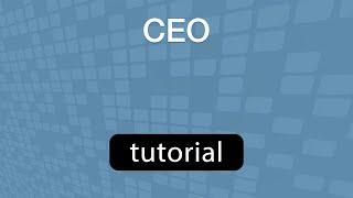 GoVenture CEO - Training Video [Quick and Detailed Training]