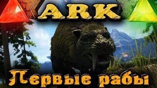 Взял ДИНОЗАВРОВ в Рабство - ARK Survival Evolved Стрим