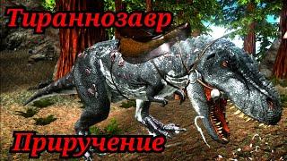 Приручение Тираннозавра в Ark mobile!/Modjis