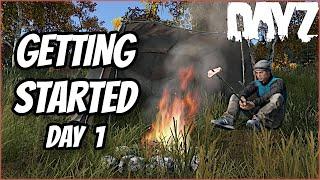 A Solo Noob's First Day in DayZ