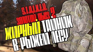 S.T.A.L.K.E.R.: "Золотой обоз 2" ЖИРНЫЙ тайник (схрон) в Рыжем лесу