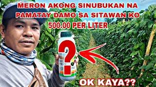 SINUBUKAN KO ANG HERBICIDE NA TO || 500.00 LANG PER LITER|| EFFECTIVE KAYA??