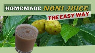 Noni Juice BENEFITS, RECIPE, PRECAUTIONS & more / Earth's Medicine