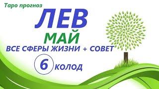 ЛЕВ МАЙ 2021 таро прогноз/таро гороскоп/ 6 колод!!!