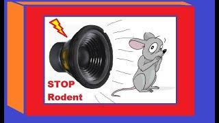 RODENT REPELLENT - NO LIMITS - powerful sound to keep mice away from your home 12 Hrs