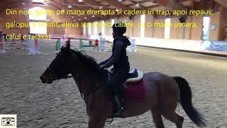 O eleva a Scolii Equestria - lectie de galop si initiere in sarituri peste obstacole