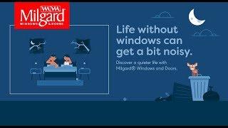 Life Without Windows - "Noisy" - Milgard Windows and Doors