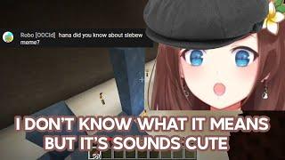 [Nijisanji ID] [Sub EN] Hana Doesn't Know About Slebew