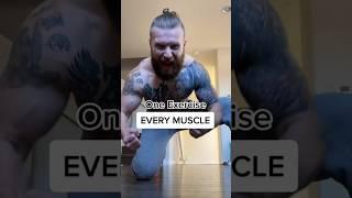1 exercise EVERY muscle #fullbodyworkout #homeworkout #shorts