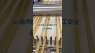 3D fried puffed macaroni production equipment