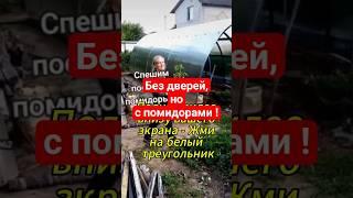 Наша дача#shorts#теплица#как #огород#пластиковые#greenhouse#garden#plastic_pers#how#greenhouse