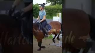 WHOEVER COMMENTS GETS HARLOW ART!  #horse #harlow #equestrian #horseriding #harlowandpopcorn