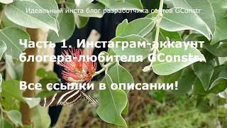 Идеальный инста блог разработчика сайтов GConstr