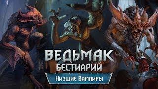 The Witcher 3. Бестиарий: низшие Вампиры (Гаркаин, Фледер и Эккима)