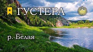  р. Белая  Густера  Русская рыбалка 4 