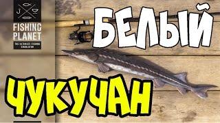 Fishing Planet Прохождение | Белый Чукучан | Колорадо, Озеро Рокки | 2016