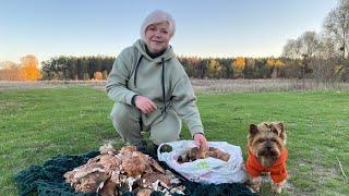 Из города в село. У меня Шок, вот это съездили на рыбалку! Свету как будто кто то позвал туда! ГРИБЫ