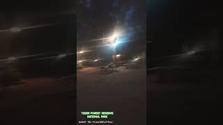 TIGER WOODS FOREST RESERVES II NATIONAL PARK II #music #pubg #song