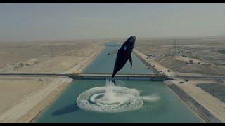 Imagine the arrival of these big whales in the Ghosh Tepa Canal of Afghanistan