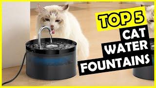 TOP 5: Best Cat Water Fountain of 2025