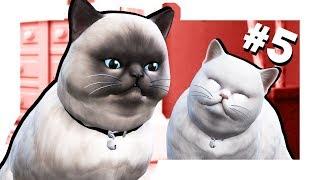 The Sims 4 Кошки и собаки #5 Скоро будут котята?