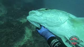 Commercial Spearfishing - OTWA - Overnight Florida Middle Grounds Trip - Feb 15 & 16, 2024