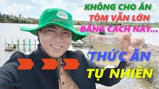 THỨC ĂN TỰ NHIÊN, giải pháp giảm chi phí tăng lợi nhuận nuôi Tôm.