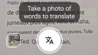 How to use Google Lens on your phone to translate texts