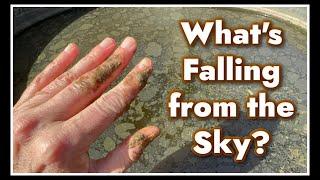  WHAT'S Falling from the Sky Now?