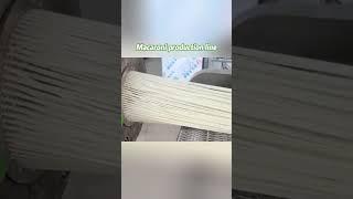 Revolutionize Pasta Production  | Gondor Macaroni Production Line – High Efficiency & Precision