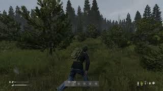 DayZ AMD FX 4300 + AMD Radeon RX 570